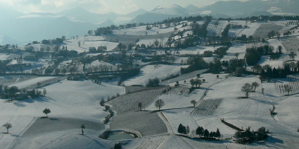AFelici 1
