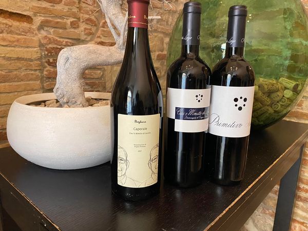 Wine collection of Alberto Longo