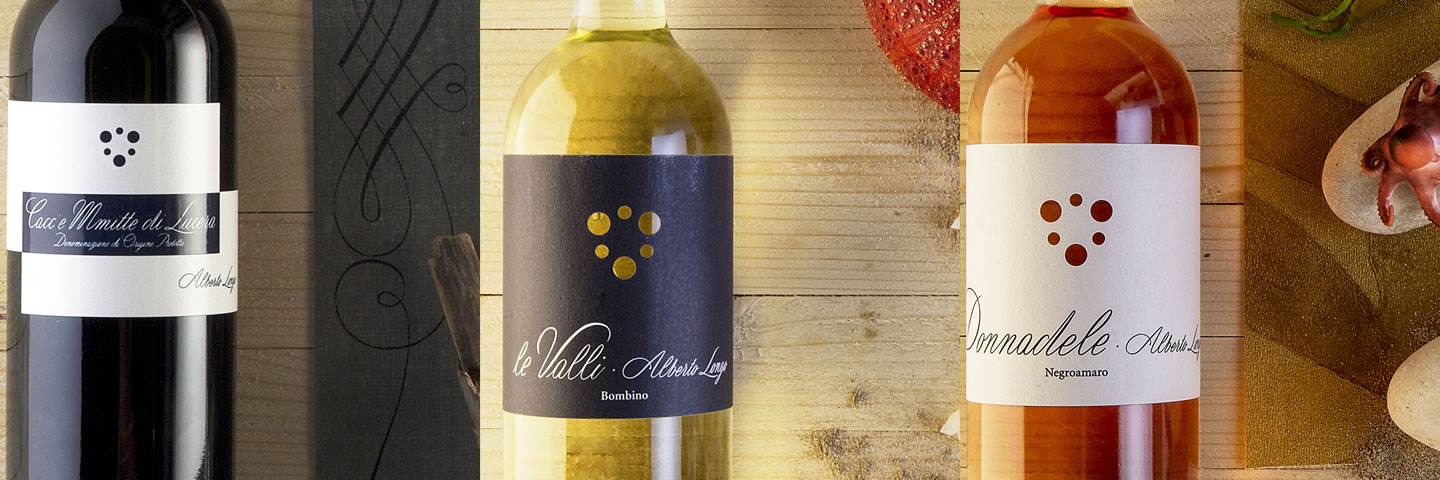 Wine collection of Alberto Longo