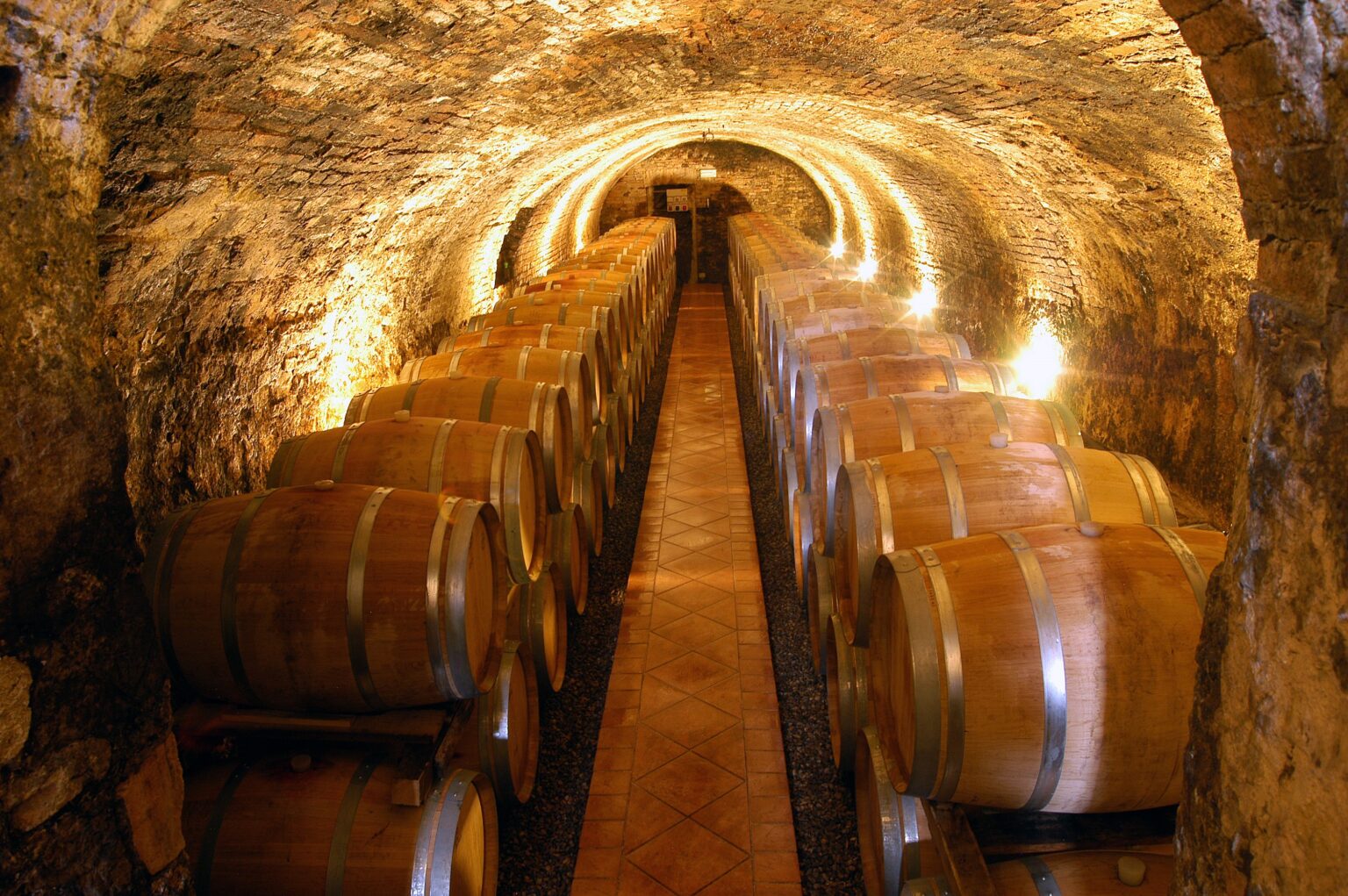 Ancient cellar of Tenute Silvio Nardi