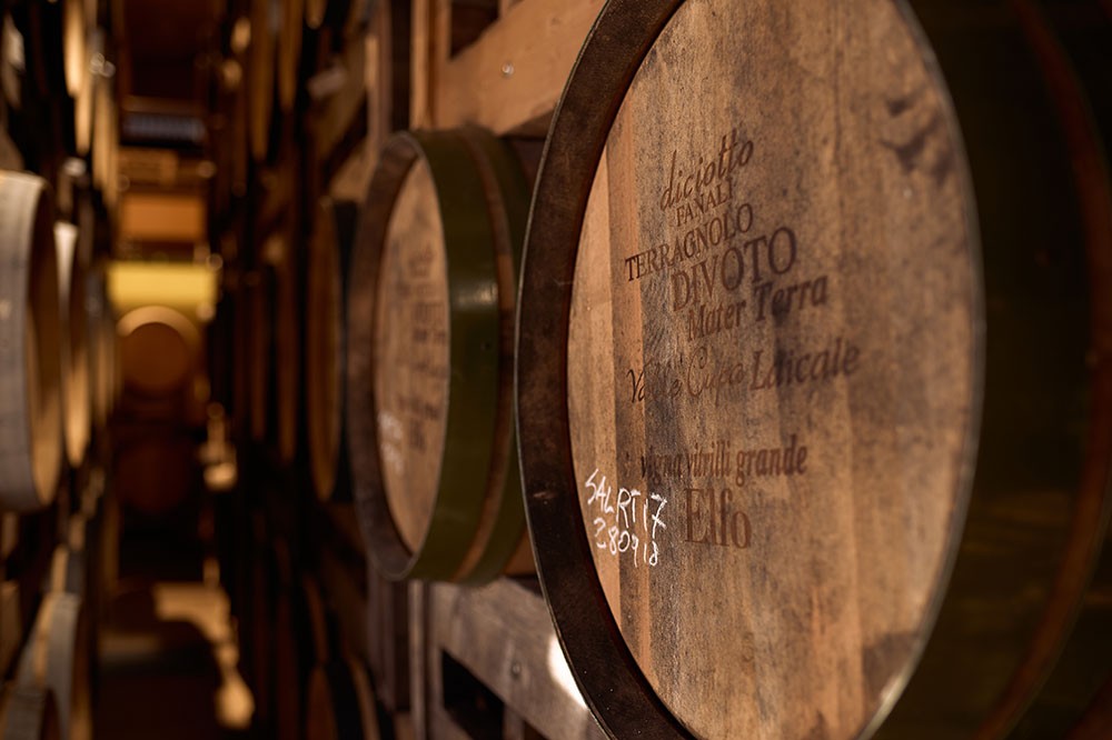 Wine cellar