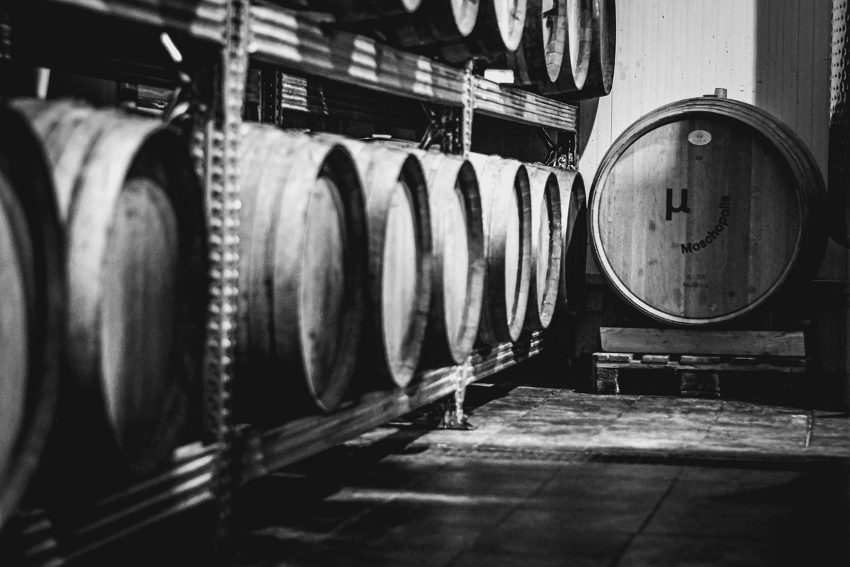 Moschopolis winery cellar