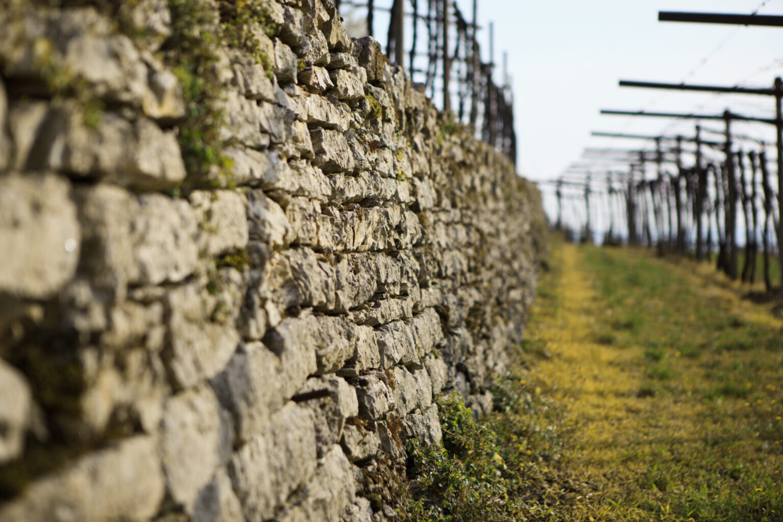 Corteforte fence