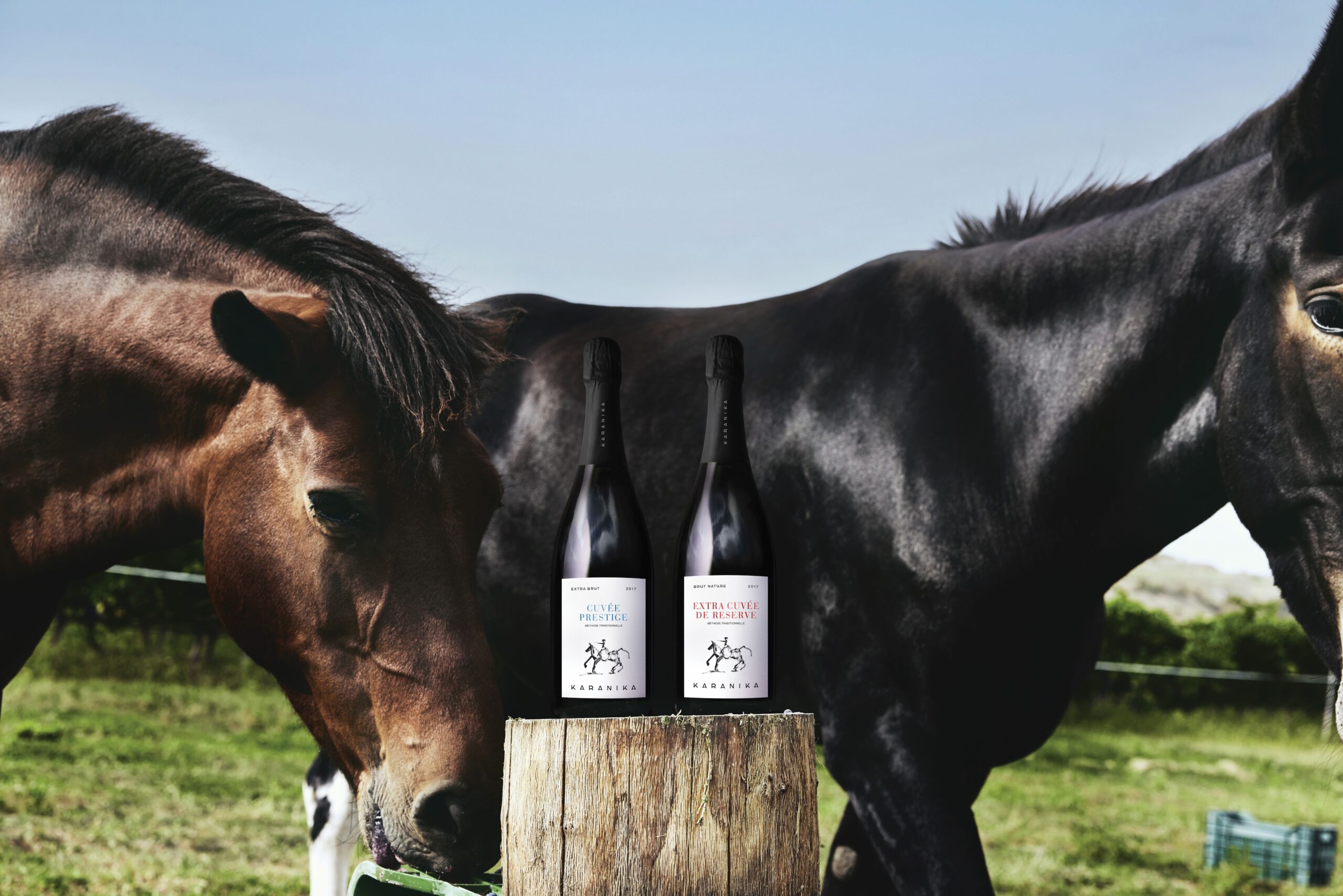 2 horses and 2 bittles of wine