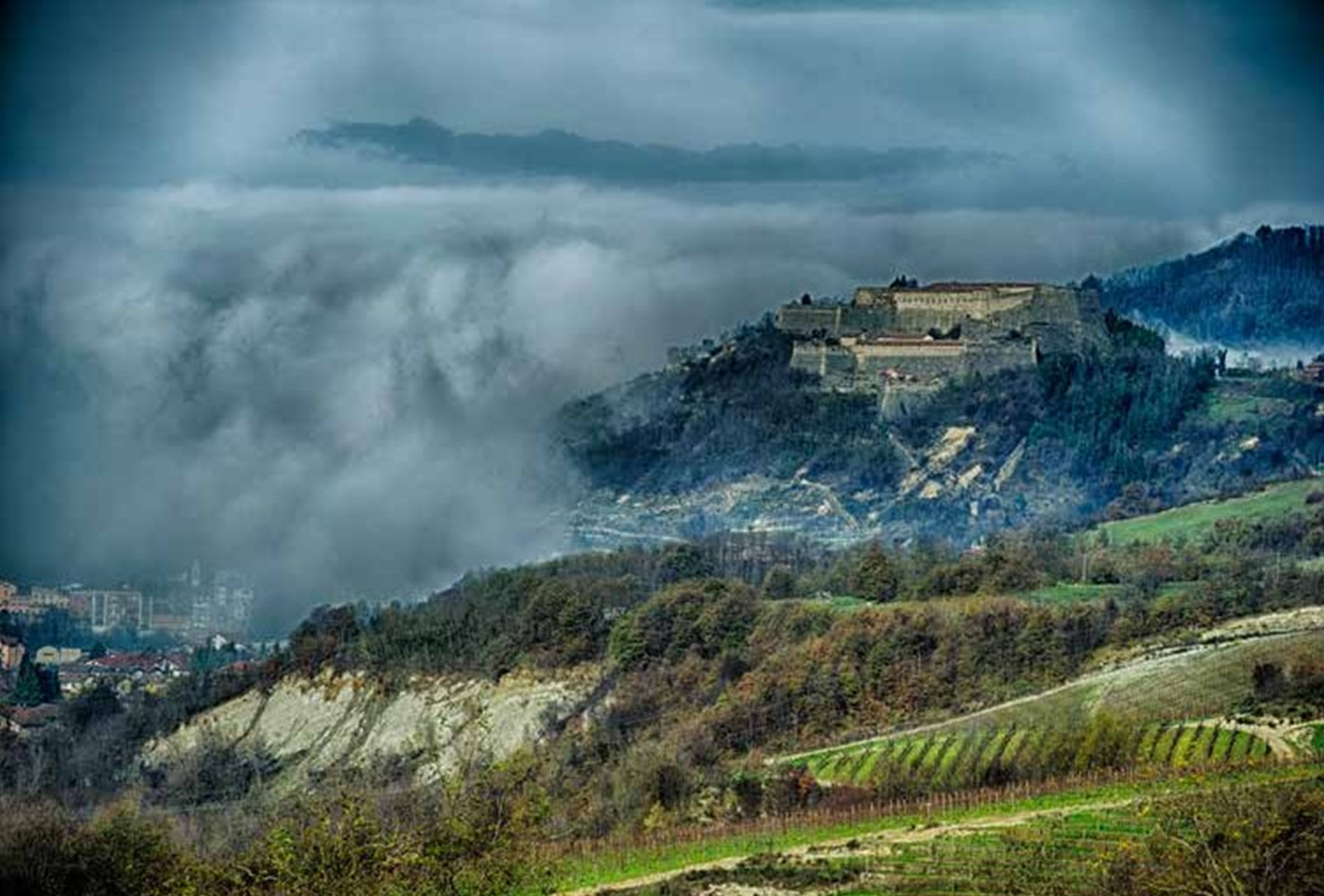 A hill at La Chiara vineyards