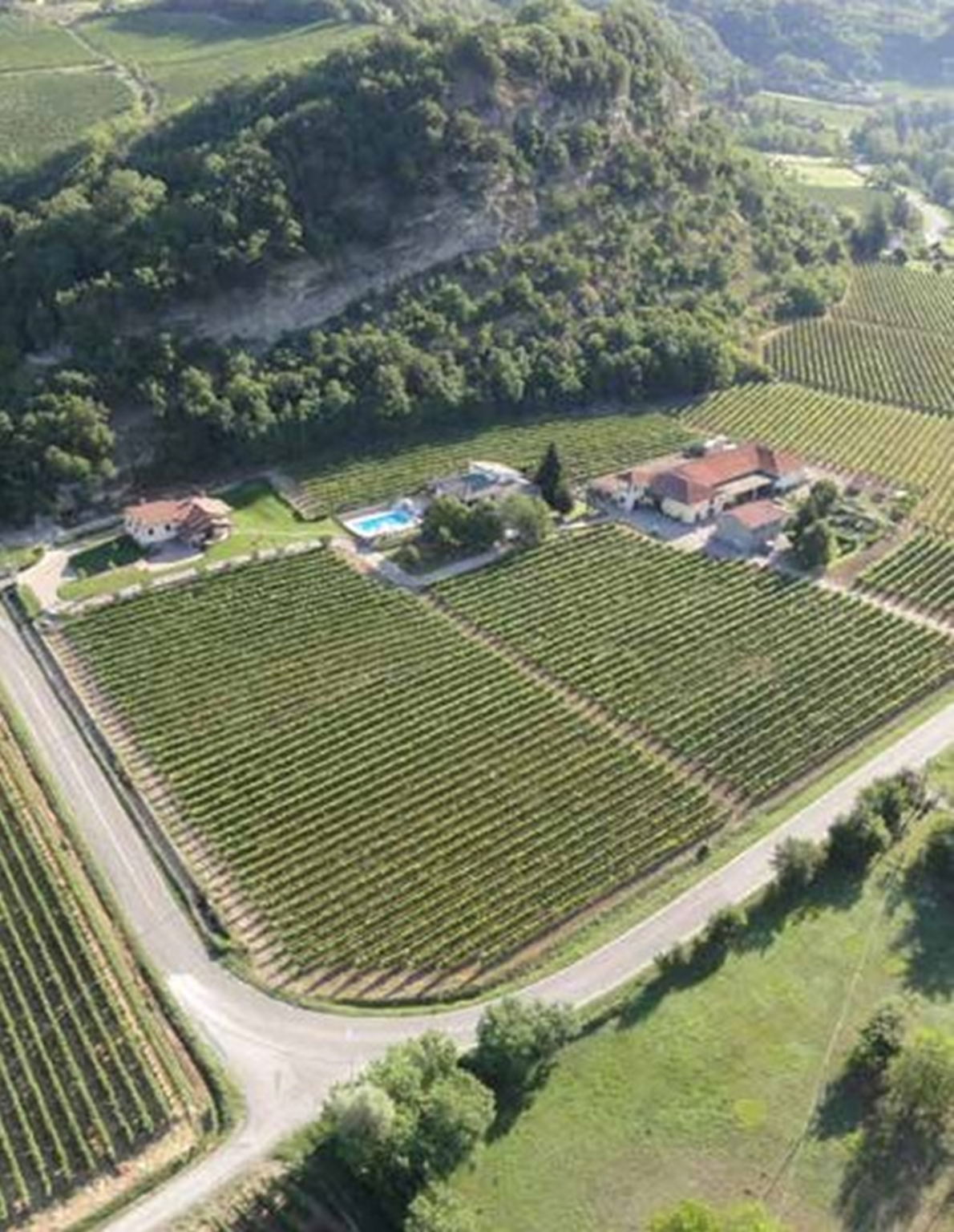 La Chiara vineyards