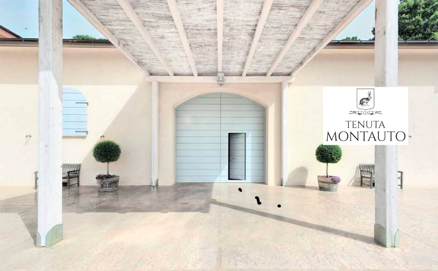 Tenuta Montauto cellar