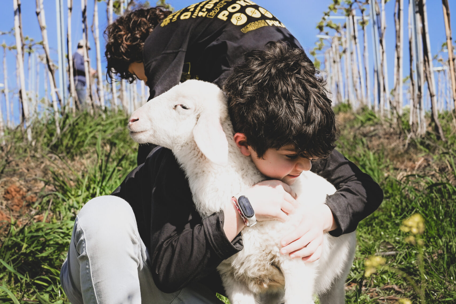 A boy and an sheep