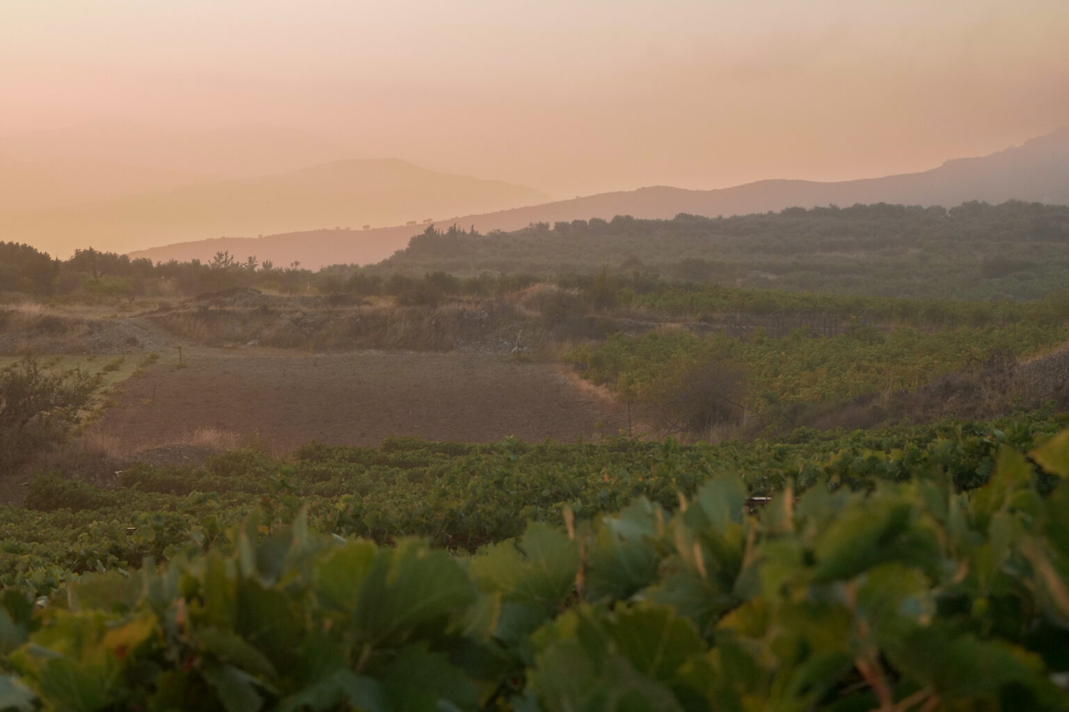 Sunset, Diamantakis