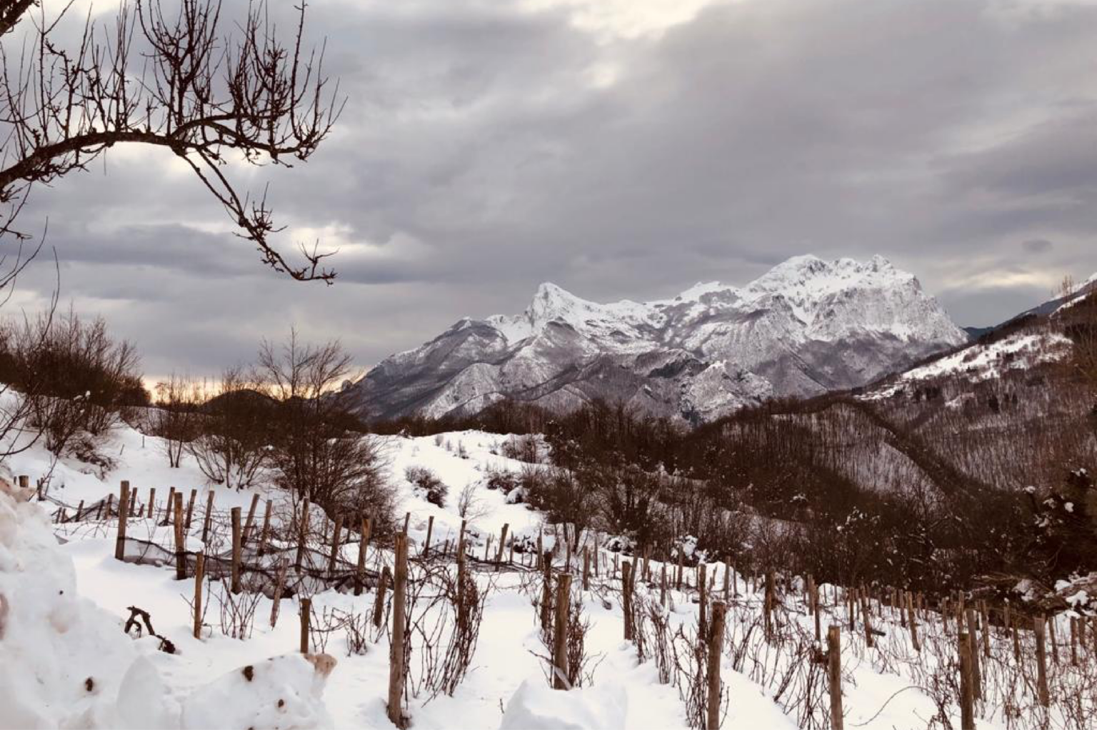 Maesta della Formica terroir