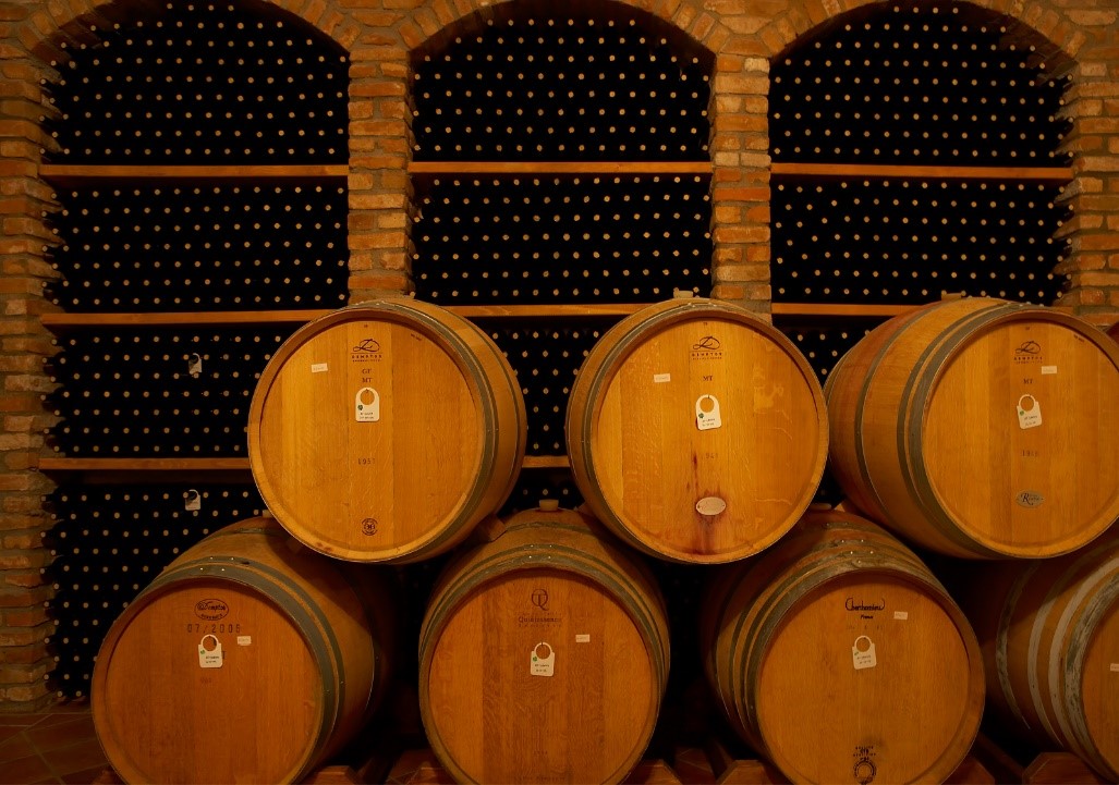Wine Art Estate cellar