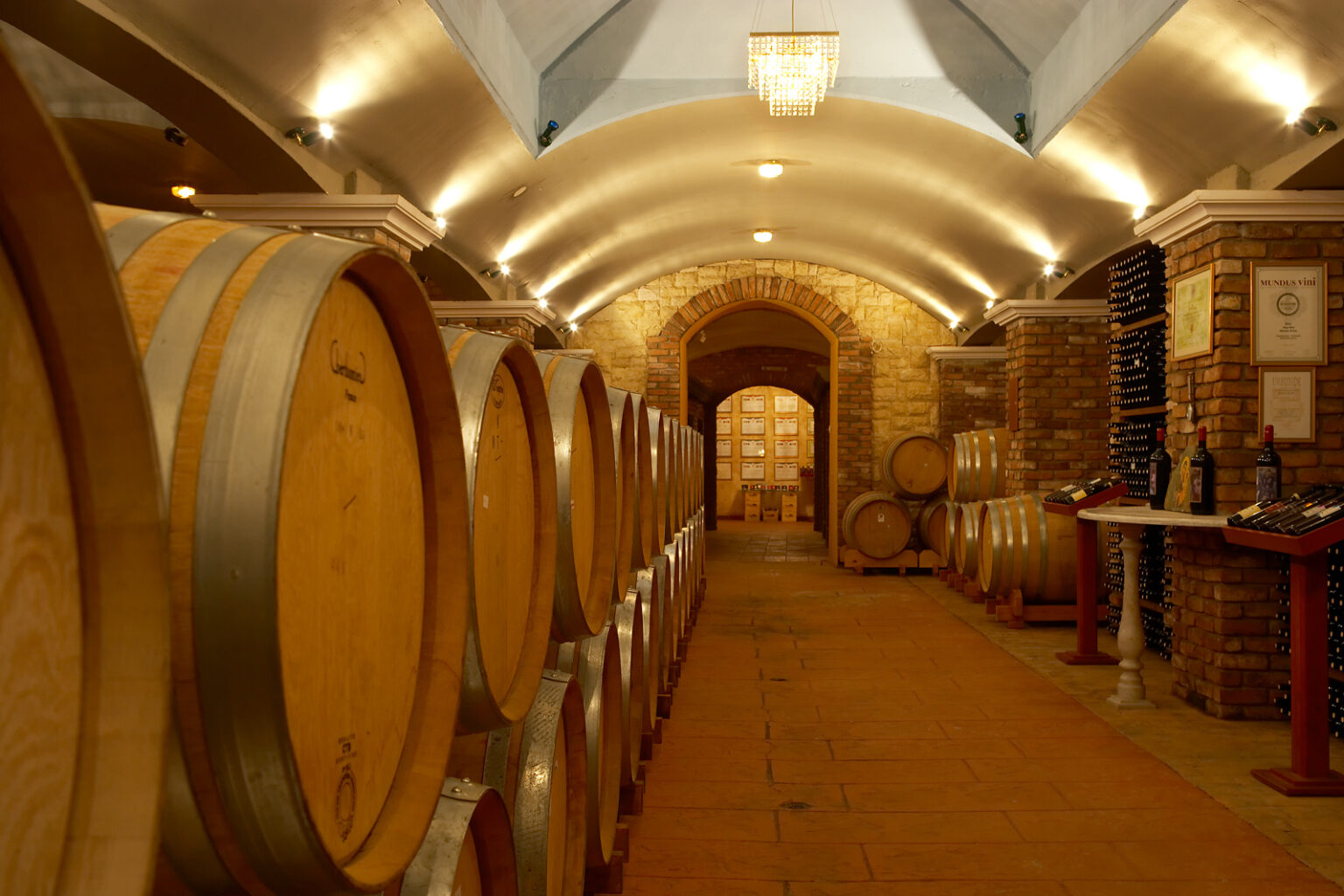 Wine Art Estate cellar