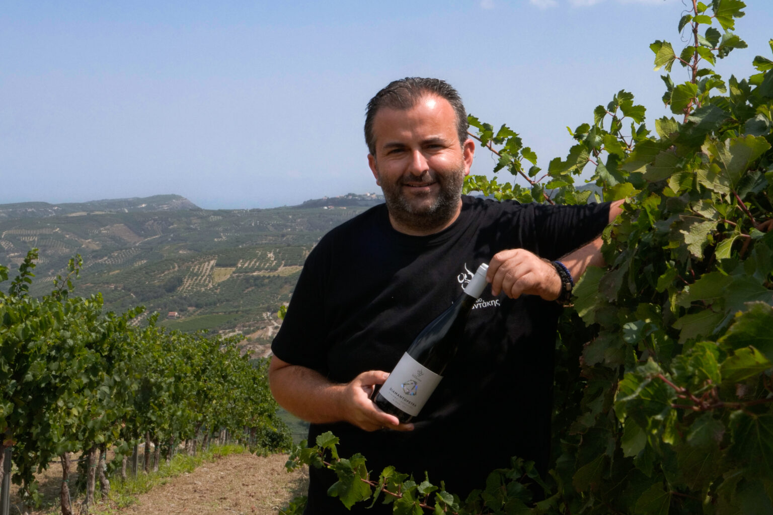 Winemaker, Diamantakis