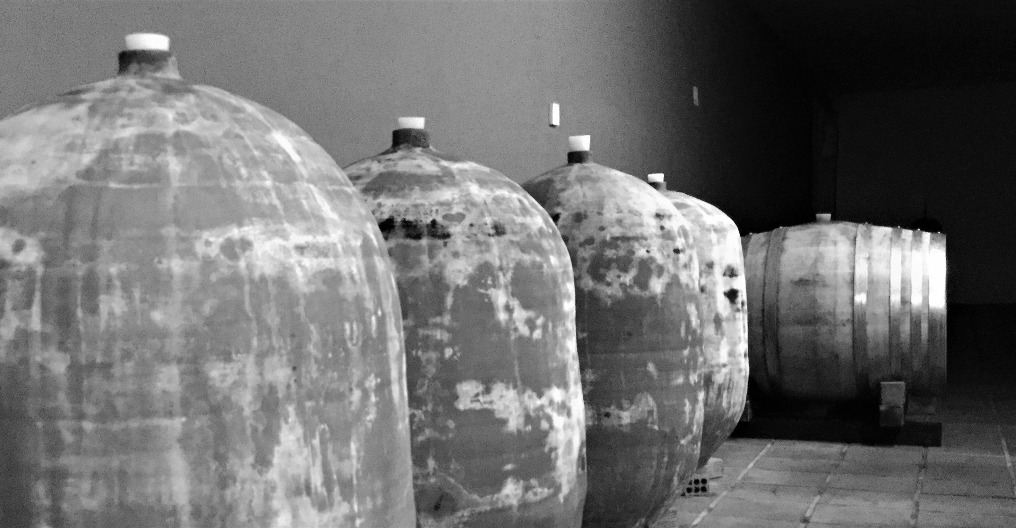 Wine amphorae in the cellar of Rouvalis winery