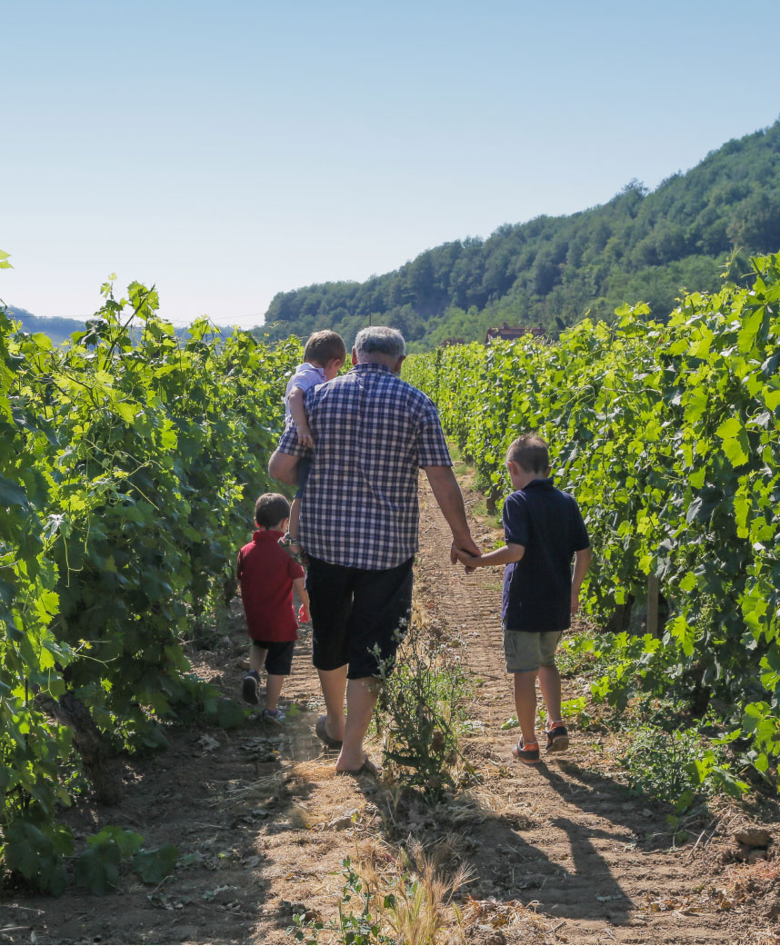 Afew people are having a walk in the vineyards of La Chiara