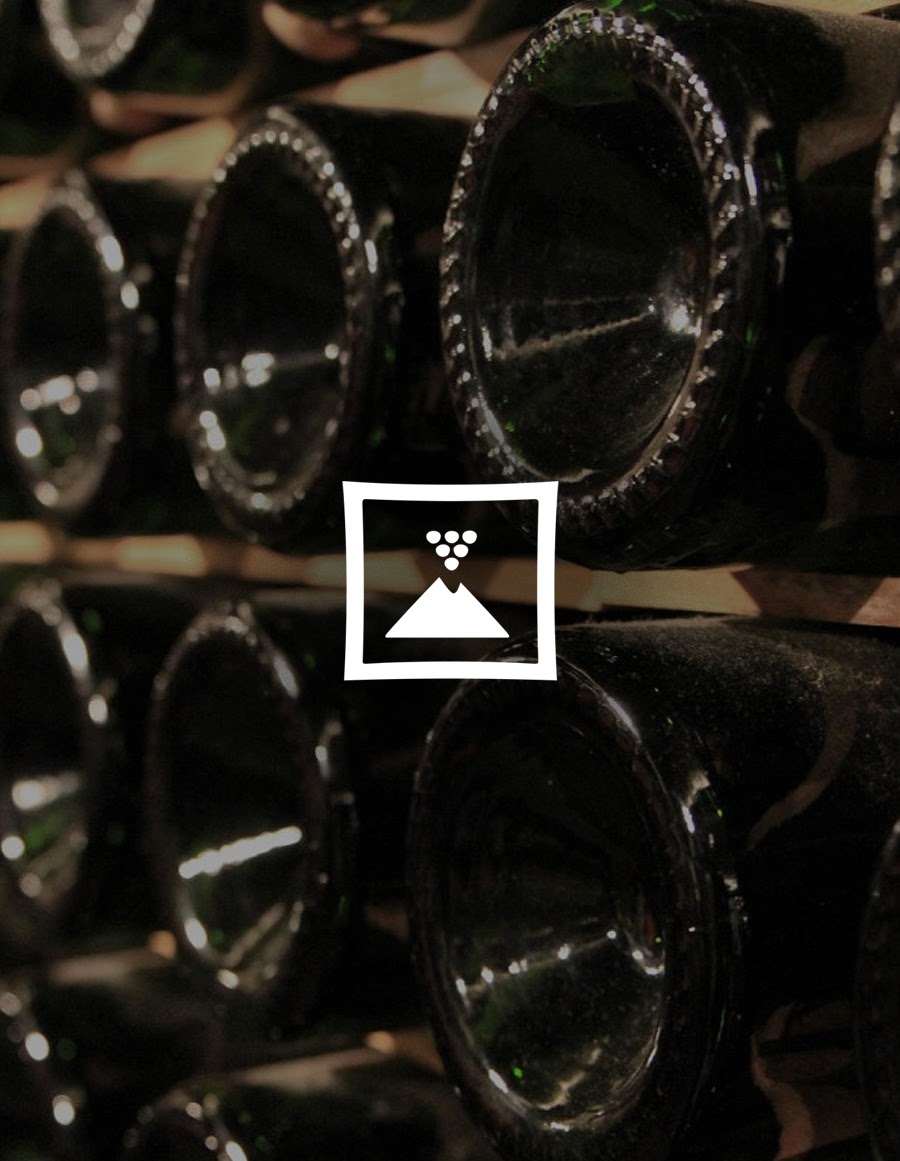 A collection of wine bottles in a cellar