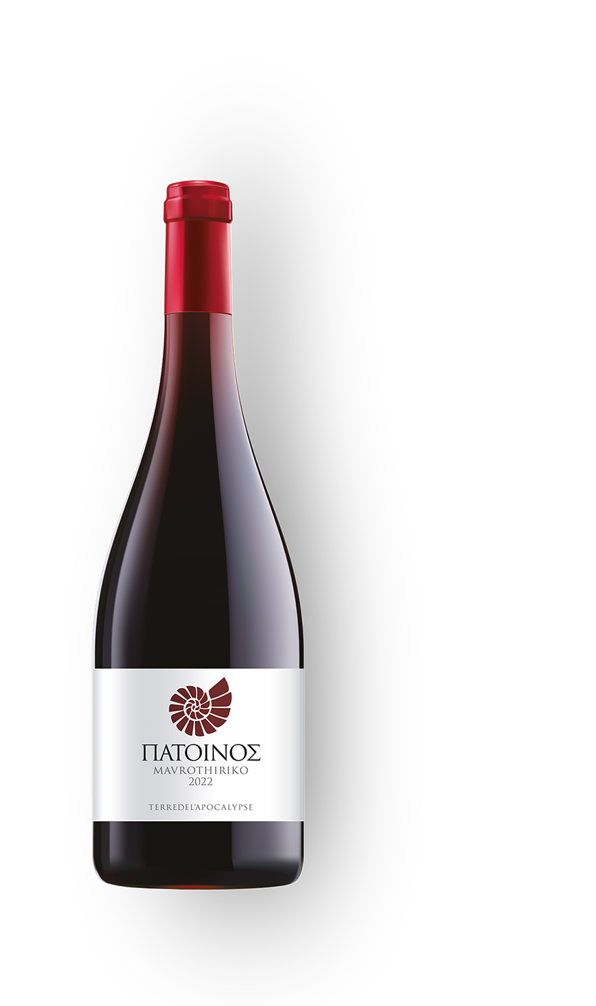 A bottle of wine