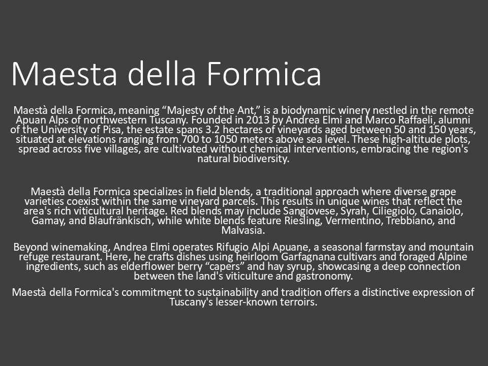 A text on a dark background