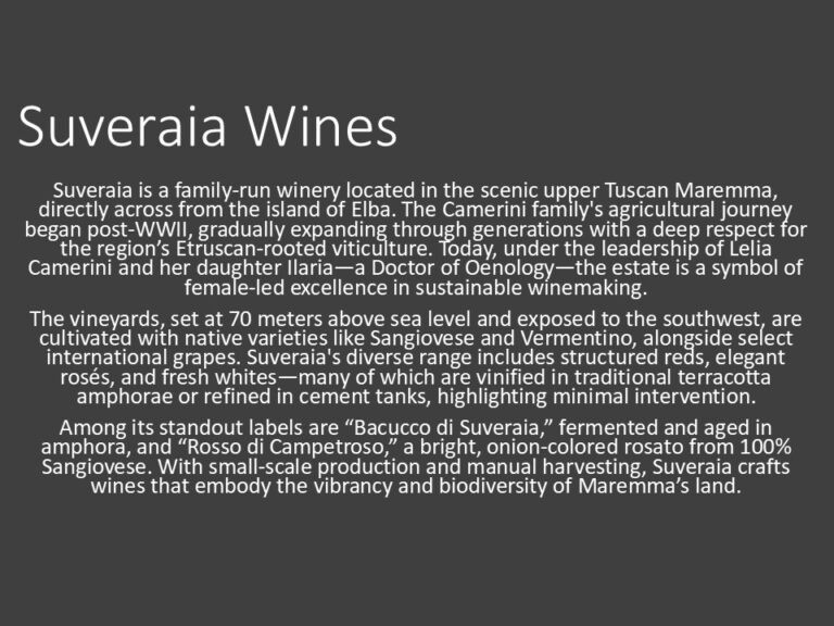 A text on a dark background