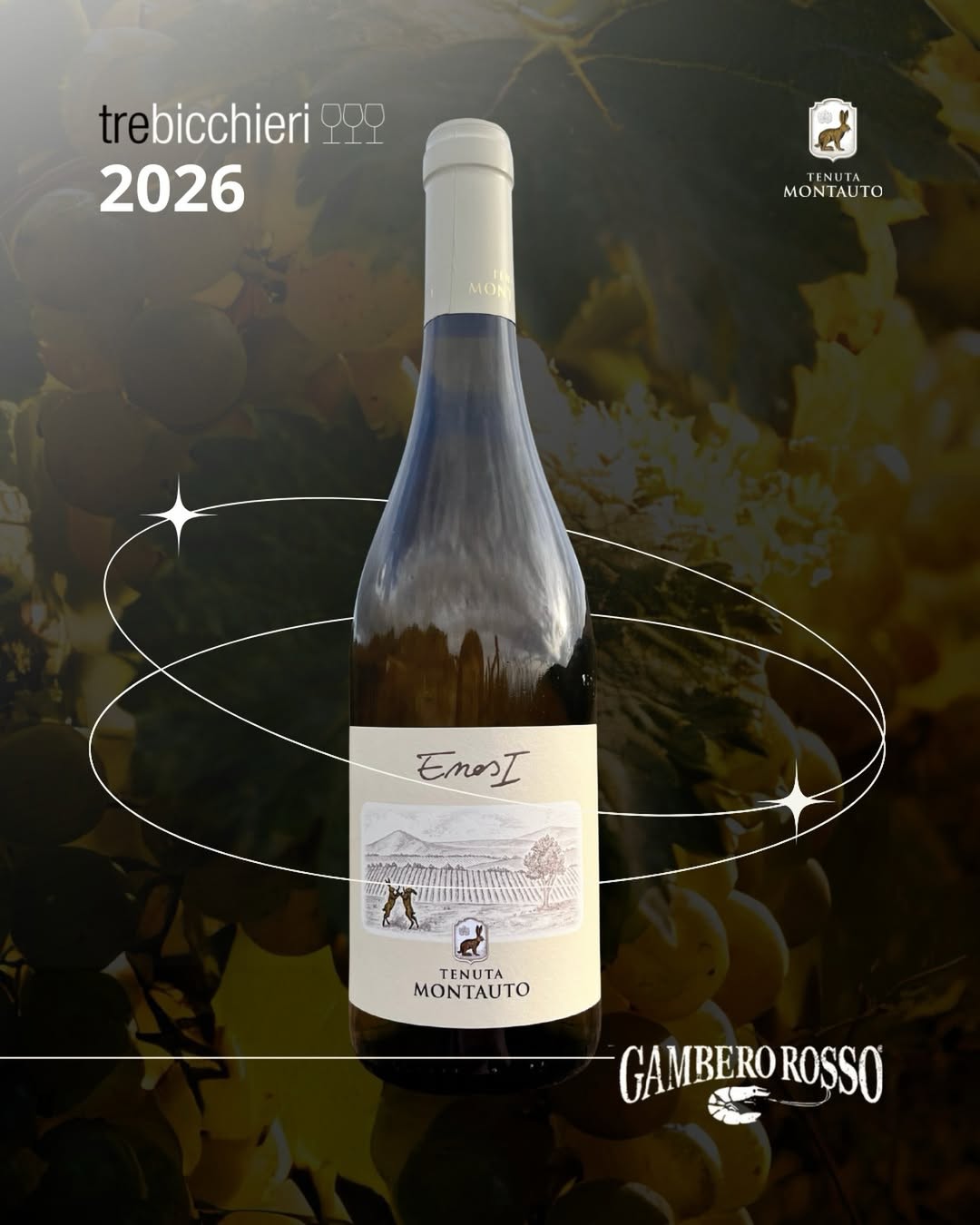 A bottle of wine at a dark background