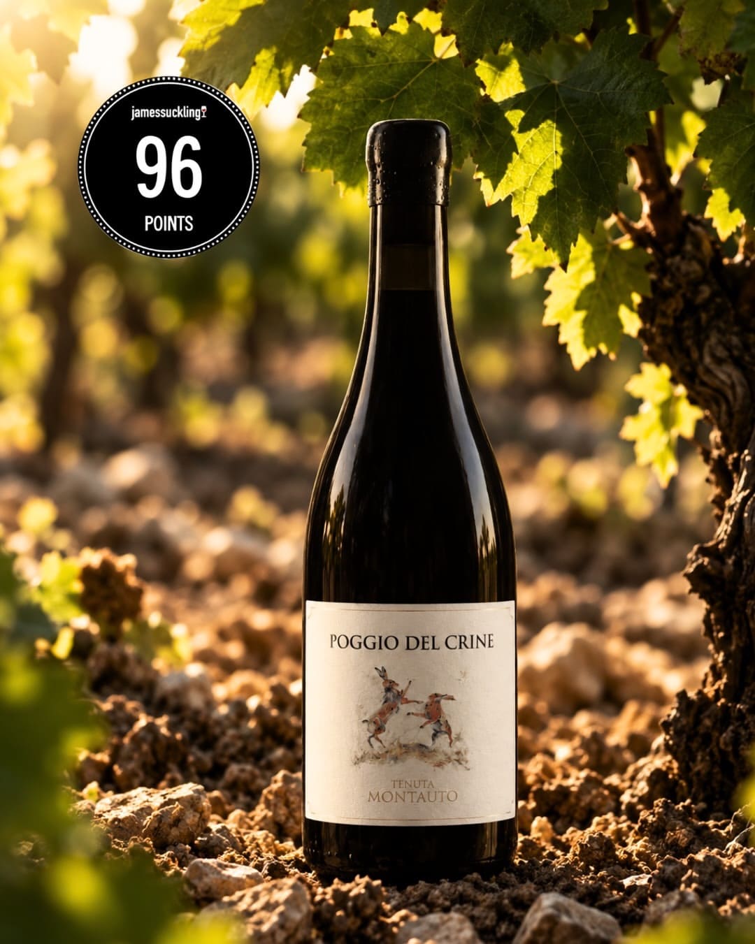 A bottle of Monauto's wine and award